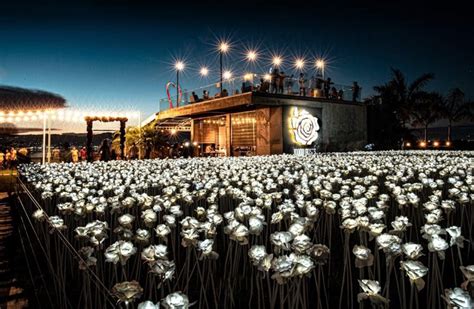 The 10,000 Roses Café of Cordova, Cebu’s Newest Craze .